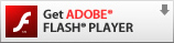 flashplayer